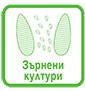 K-Obiol