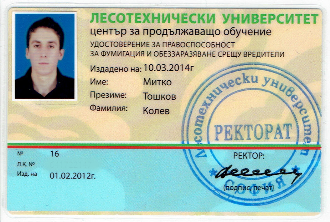 Mitko fum